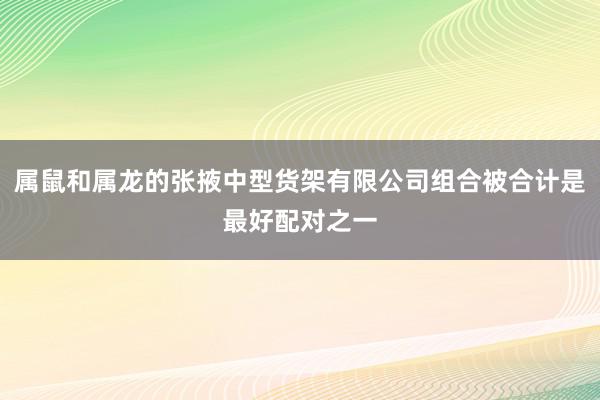 属鼠和属龙的张掖中型货架有限公司组合被合计是最好配对之一
